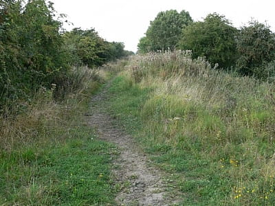 Древнерусское городище Новый Двор на Волыни — археологический памятник XI–XIII вв., укрепление, оборонительный рубеж, история боев УПА, исследования, как доехать.