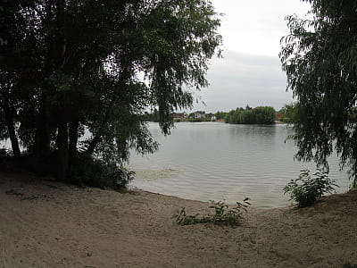 Озеро Мартышев — искусственный водоем в Дарницком районе Киева с богатой природой, рыбалкой, пляжным отдыхом и удобным доступом общественным транспортом.