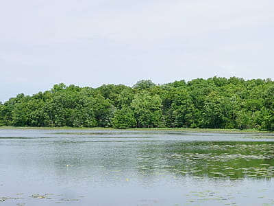 Озерянское озеро - карстовый водоем на Волыни, часть заказника с рыбалкой, пирсом, историей Сандова и маршрутами через «Озерянское ожерелье».