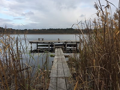 Озерянское ожерелье - живописный каскад озер на Волыни возле села Озеряны, идеальное место для путешествий, отдыха на природе и наблюдения за птицами.