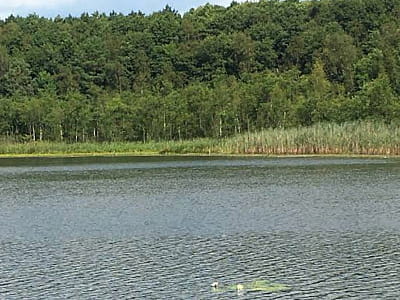 Озеро Погорелое в Волынской области - карстовый водоем среди лесов. Рыбалка, природа, пирс, маршрут «Озерянское ожерелье» и дикие пейзажи.