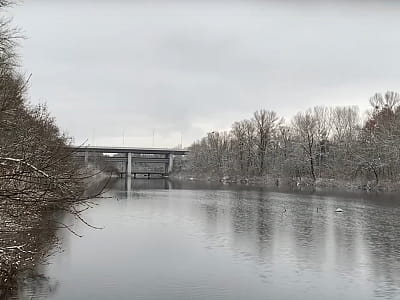 Озеро Бабье на Трухановом острове в Киеве — тихое природное место для рыбалки, отдыха и наблюдения за дикой природой, окруженное историей и зеленью.