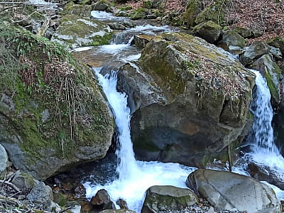 Водопад Девичьи Косы в Закарпатье – живописный уголок возле Ликицаров. Две ленты воды среди гор, прохлада в жару и спокойствие для путешественников.