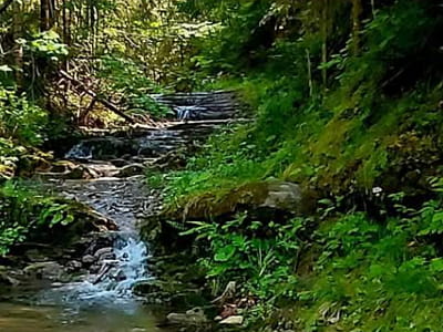 Водопад Черетов Верхний в Карпатах – каскадный водопад высотой 2 м на высоте 715 м. Удобный маршрут, живописное русло и рядом скалы «Писаный Камень».