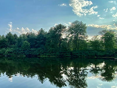 Озеро Глубокое на Трухановом острове — уютное место для отдыха, рыбалки и пикников в сосновом лесу недалеко от центра Киева.