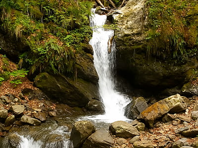 Водопад Каменный в Рахове – живописный уголок Карпат. Легкодоступный, тихий и малолюдный, идеальный для прогулки, фото и отдыха в лесу.