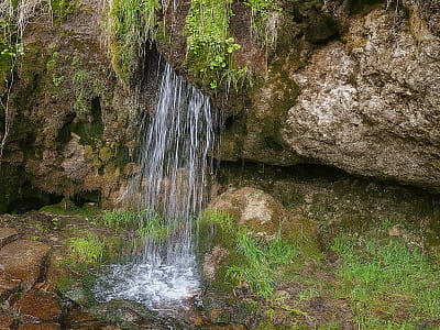 Травертиновый водопад Монаши Слёзы возле Жизномира в Тернопольской области. Лесная местность, руины монастыря, фотозона и исторические памятники рядом.