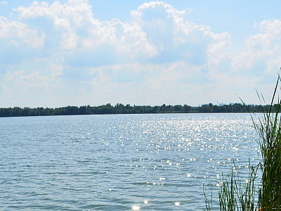 Озеро Тяглое — самое большое и глубокое озеро Киева. Виндсерфинг, рыбалка, наблюдение за птицами, красота Осокорковских лугов и дикая природа.