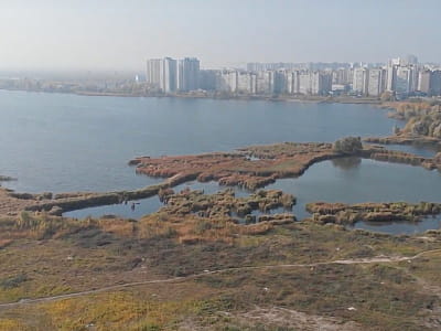 Озеро Вырлица в Дарницком районе Киева — глубокое озеро с рыбалкой, пляжем и птичьим разнообразием, окруженное природой и историей.