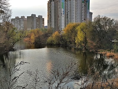 Озеро Жандарка на Позняках — живописный водоем Киева с историей, рыбалкой, пляжами, птицами и перспективами создания эко-парка.