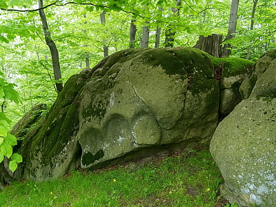 Багнянская обсерватория (Дом Сатурна) – древнее языческое святилище и астрономический памятник ранних славян в селе Багна на Буковине.