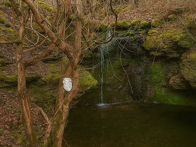 Фалинский водопад в Черновицкой области — геологическая достопримечательность с каскадом на скалах и живописным ущельем, прекрасное место для отдыха и фото.