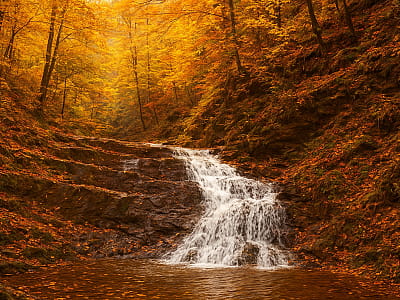 Водопад Горный трон возле Берегомета: высота 7 м, три уступа, сказочный лесной рельеф. Прекрасное место для отдыха, фото и путешествий по Карпатам.