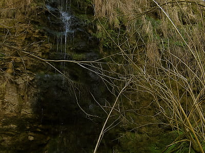 Водопад Куливецкий в Черновицкой области — живописный уголок природы с историей, легендами и прекрасными видами над Днестром.