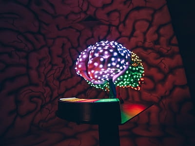 Музей «Внутри человека» в Киеве — интерактивное путешествие по человеческому телу. Гигантские органы, световые и звуковые эффекты, познание через развлечение.