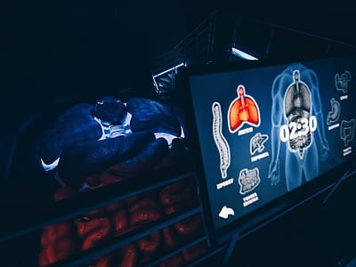 Музей «Внутри человека» в Киеве — интерактивное путешествие по человеческому телу. Гигантские органы, световые и звуковые эффекты, познание через развлечение.