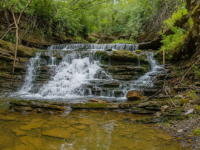 Водопад Заречанский Верхний в селе Заречье – дикий каскад высотой 2,5 м на ручье Ясиновец. Идеальное место для фото, прогулок и отдыха в Карпатах.
