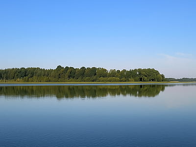 Большое Песчанское озеро на Волыни — живописный водоем в заказнике «Песчанский», идеальный для рыбалки, спокойного отдыха и единения с природой.