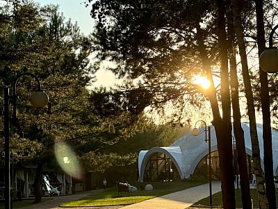 Парк-отель «Чудодеево» — отдых среди соснового леса у озера. Бассейн, баня, чан, ресторан, рыбалка, апитерапия и коттеджи для всей семьи.