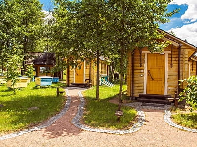 пчелиная терапия в аппи домиках в загородном комплексе «Чудодиево» в селе Вышполь Житомирской области