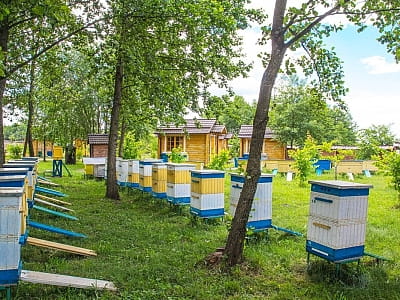 пасека в загородном комплексе «Чудодиево» в селе Вышполь Житомирской области