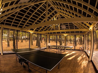 настольный теннис в загородном комплексе «Чудодиево» в селе Вышполь Житомирской области