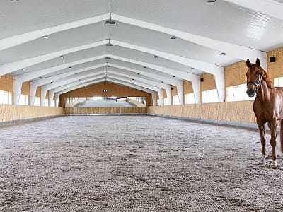 Конно-спортивный комплекс DERGACHOV в селе Веремья Киевской области