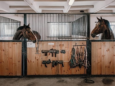 Конно-спортивный комплекс DERGACHOV в селе Веремья Киевской области