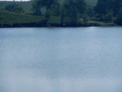 зарыбленное озеро в загородном комплексе DERGACHOV в селе Веремье Киевской области