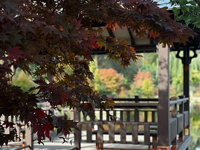 беседка на берегу озера в Eva Park в селе Вита-Почтовая под Киевом