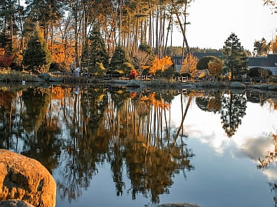 Eva Park в Вита-Почтовой – живописный ландшафтный парк с японским садом, водопадами, озером и фотолокациями. Отдых, фотосессии, ивенты, гармония.