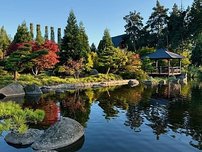 беседка на берегу озера в Eva Park в селе Вита-Почтовая под Киевом