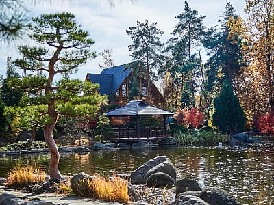 Eva Park в Вита-Почтовой – живописный ландшафтный парк с японским садом, водопадами, озером и фотолокациями. Отдых, фотосессии, ивенты, гармония.