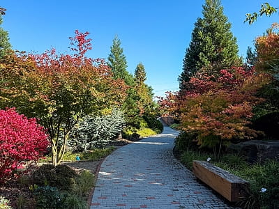 Eva Park в Вита-Почтовой – живописный ландшафтный парк с японским садом, водопадами, озером и фотолокациями. Отдых, фотосессии, ивенты, гармония.