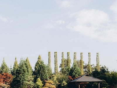 Eva Park в Вита-Почтовой – живописный ландшафтный парк с японским садом, водопадами, озером и фотолокациями. Отдых, фотосессии, ивенты, гармония.