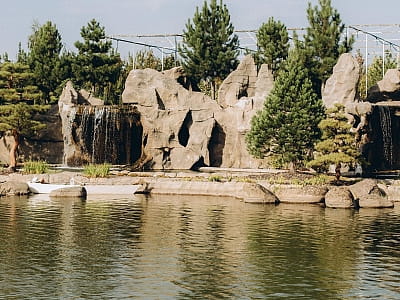 Eva Park в Вита-Почтовой – живописный ландшафтный парк с японским садом, водопадами, озером и фотолокациями. Отдых, фотосессии, ивенты, гармония.