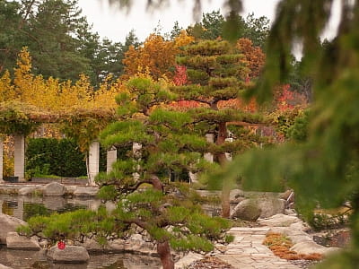 Eva Park в Вита-Почтовой – живописный ландшафтный парк с японским садом, водопадами, озером и фотолокациями. Отдых, фотосессии, ивенты, гармония.