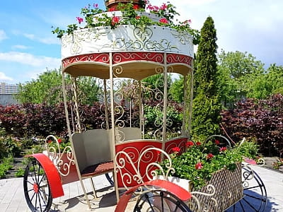 Цветочный сад «Камелия» — путешествие по садам мира под Киевом