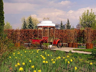 Посетите цветочный парк «Камелия» в Крюковщине — 10 садов мира, фотолокации, кафе, развлечения и невероятные цветочные инсталляции под Киевом.