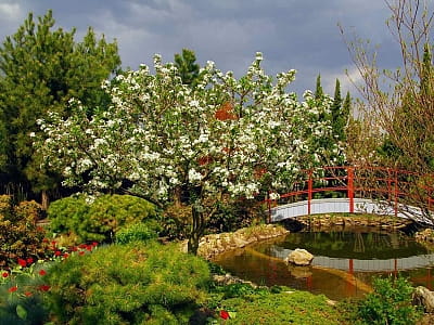 Посетите цветочный парк «Камелия» в Крюковщине — 10 садов мира, фотолокации, кафе, развлечения и невероятные цветочные инсталляции под Киевом.