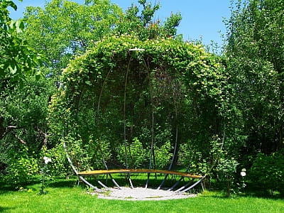 Цветочный сад «Камелия» — путешествие по садам мира под Киевом