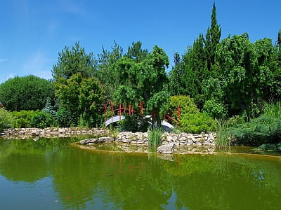 Посетите цветочный парк «Камелия» в Крюковщине — 10 садов мира, фотолокации, кафе, развлечения и невероятные цветочные инсталляции под Киевом.