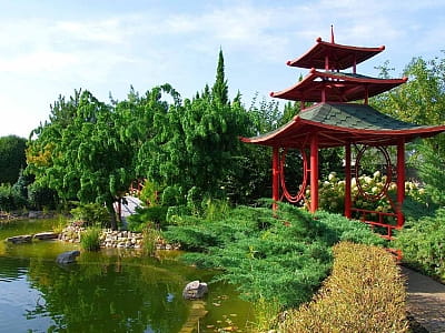 Цветочный сад «Камелия» — путешествие по садам мира под Киевом