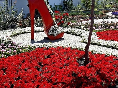 Посетите цветочный парк «Камелия» в Крюковщине — 10 садов мира, фотолокации, кафе, развлечения и невероятные цветочные инсталляции под Киевом.