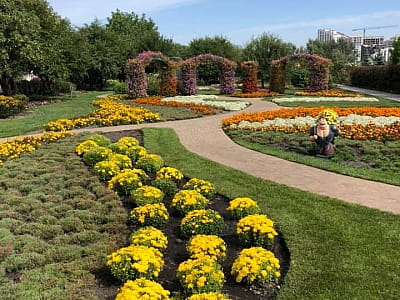 Посетите цветочный парк «Камелия» в Крюковщине — 10 садов мира, фотолокации, кафе, развлечения и невероятные цветочные инсталляции под Киевом.