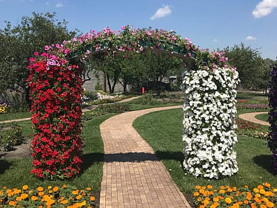 Цветочный сад «Камелия» — путешествие по садам мира под Киевом