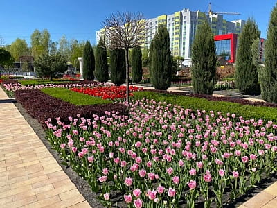 Посетите цветочный парк «Камелия» в Крюковщине — 10 садов мира, фотолокации, кафе, развлечения и невероятные цветочные инсталляции под Киевом.