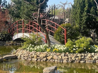 Цветочный сад «Камелия» — путешествие по садам мира под Киевом