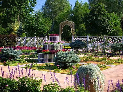 Цветочный сад «Камелия» — путешествие по садам мира под Киевом