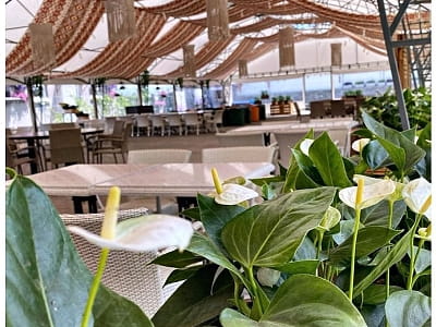 кафе в цветочном саду «Камелия» в Крюковщине